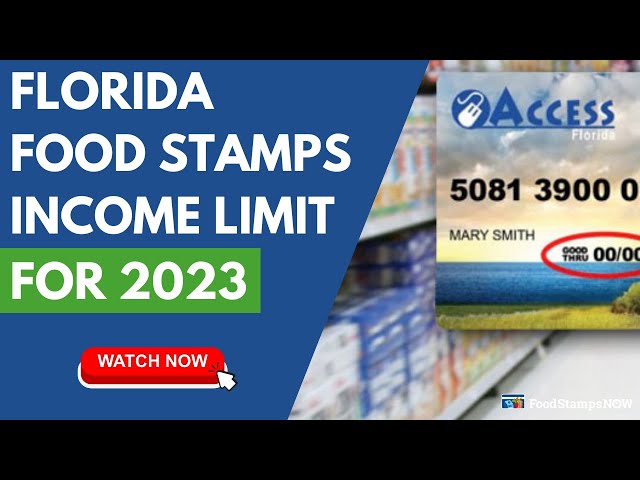 florida ebt requirements