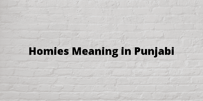 homies meaning in punjabi