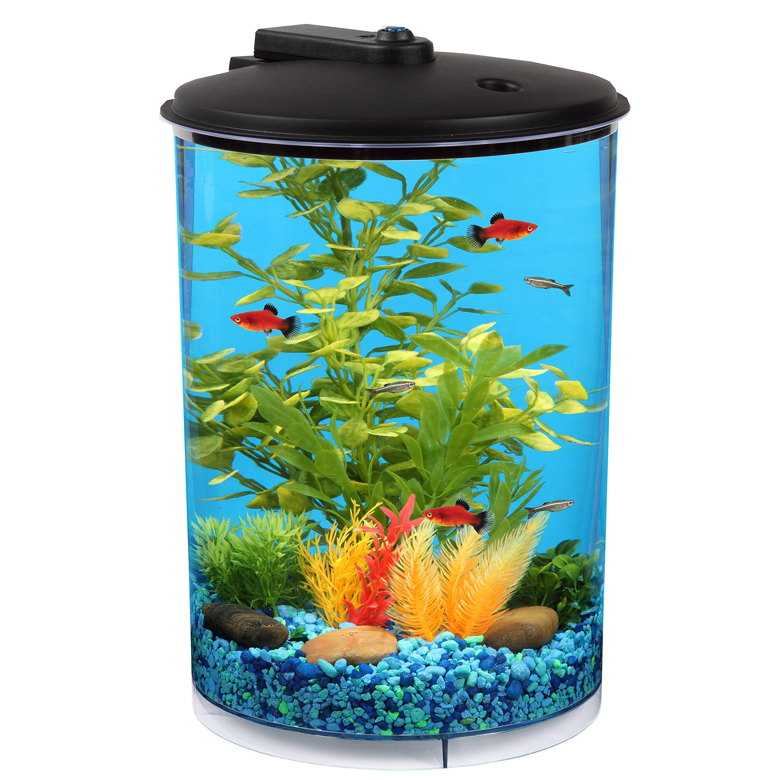 360 fish tank