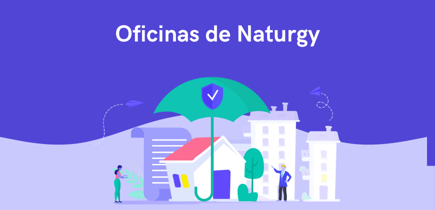 naturgy sevilla cita previa