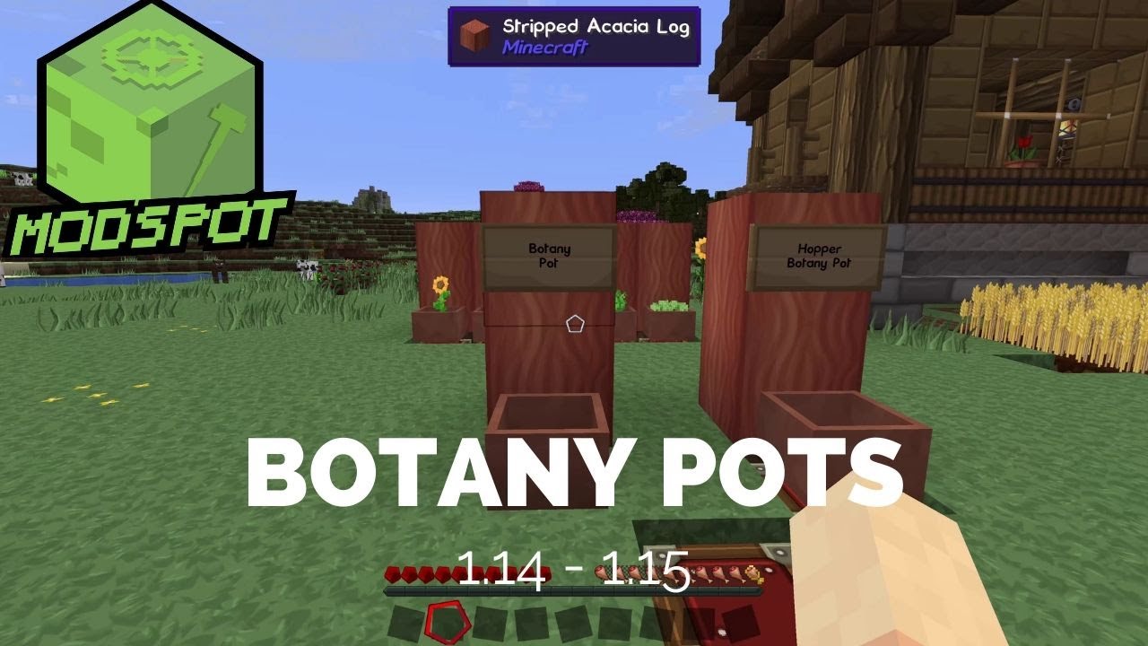 botany pots