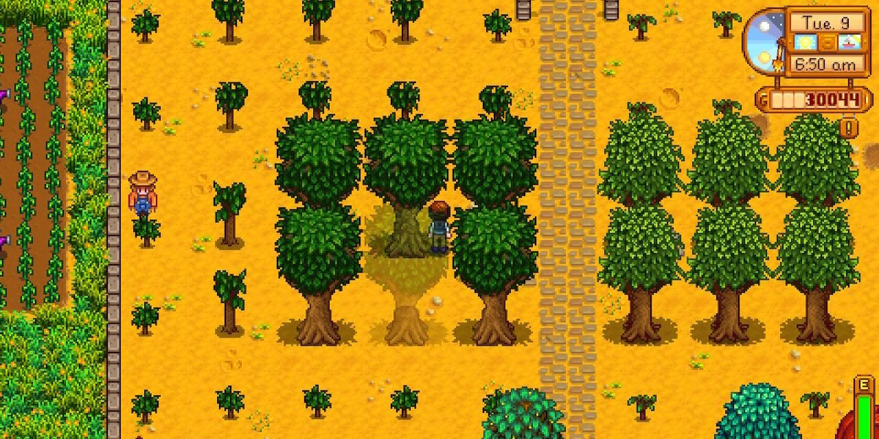 how to plant trees stardew valley