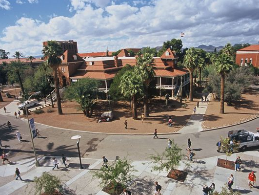 university of arizona fraternities and sororities