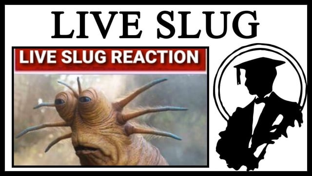 live slug reaction meme