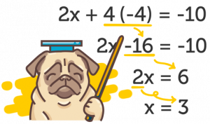 studypug com