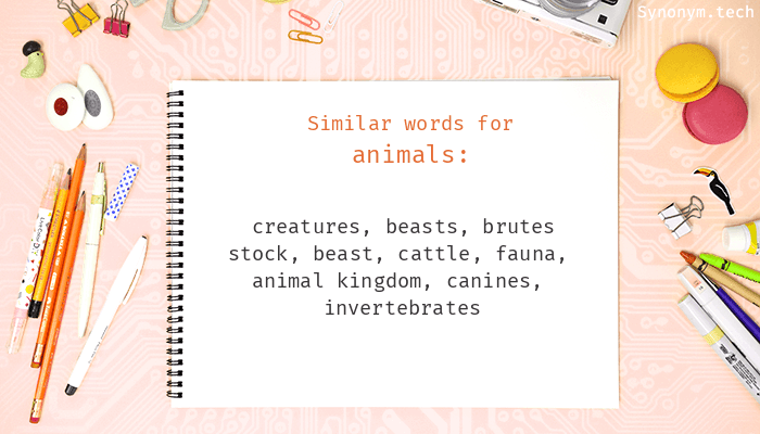 other words for animals