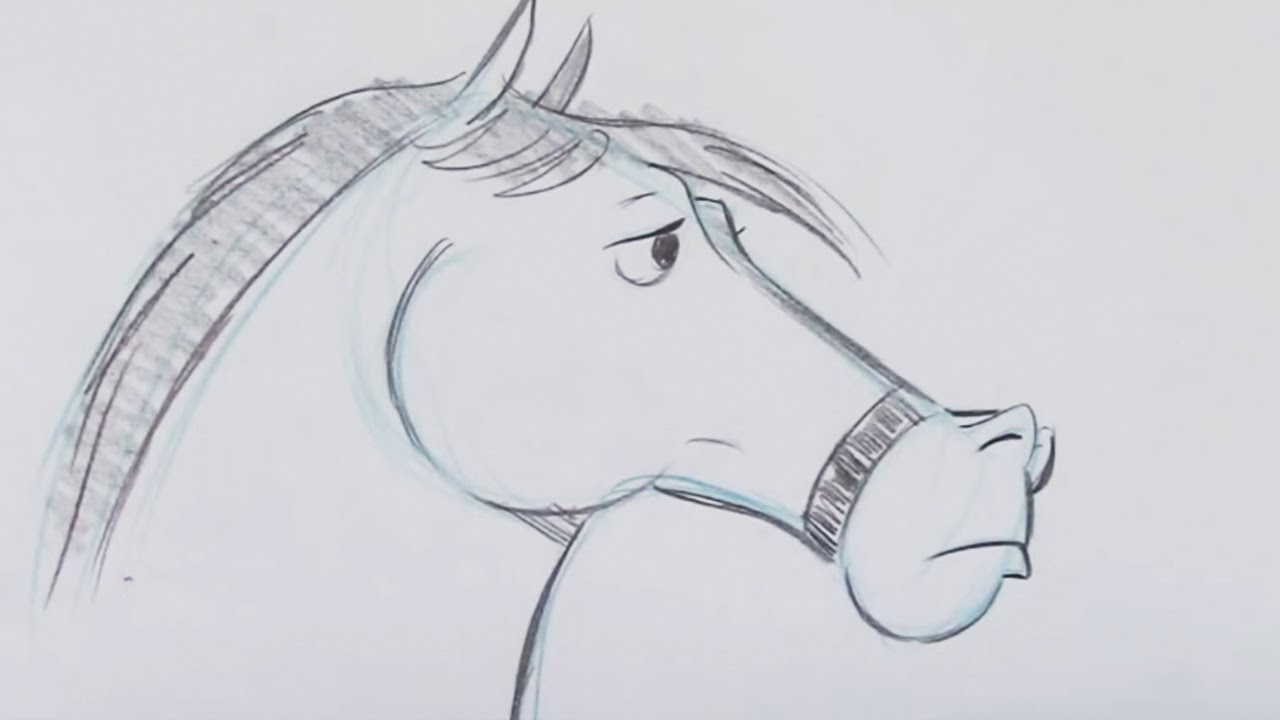 cartoon horse drawings