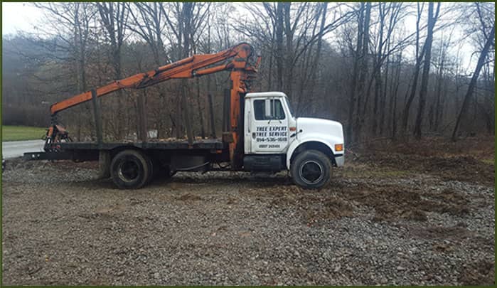 tree services in johnstown pa