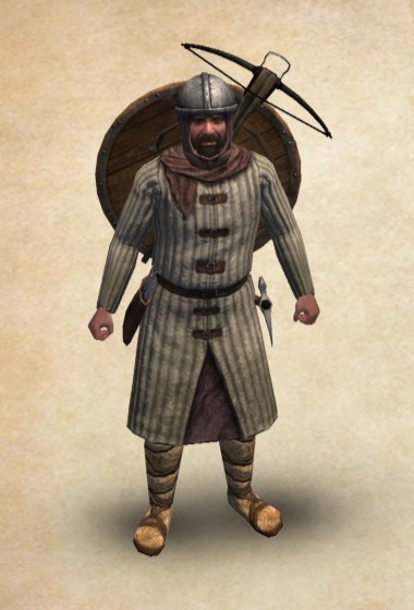 mount and blade mercenary