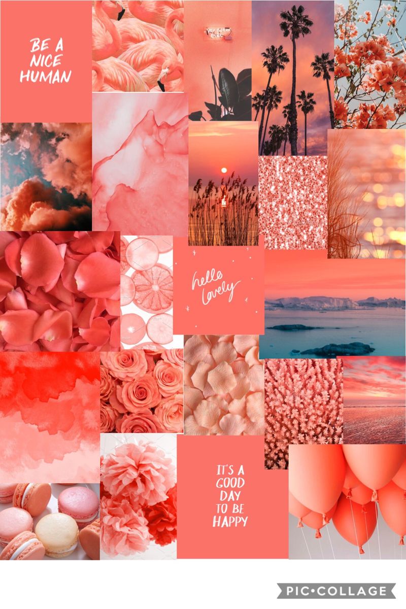 coral aesthetic