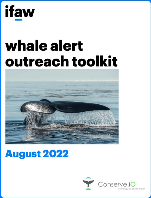 whale alerts