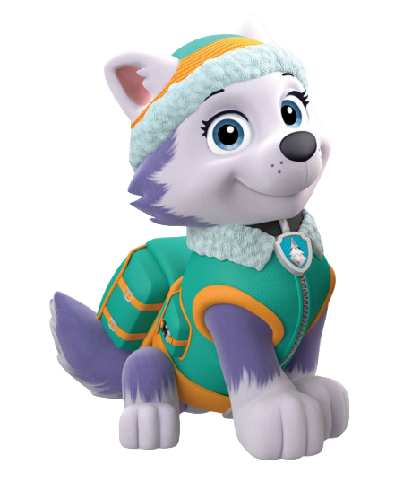 everest from paw patrol