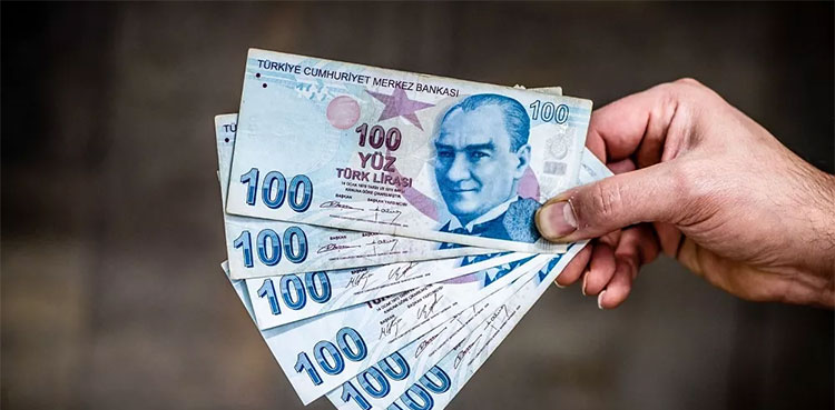 dollar turkish lira live