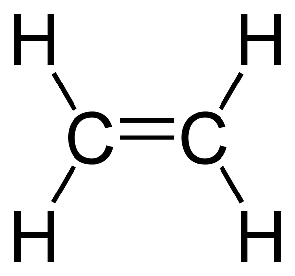 c2h4 sigma and pi bonds