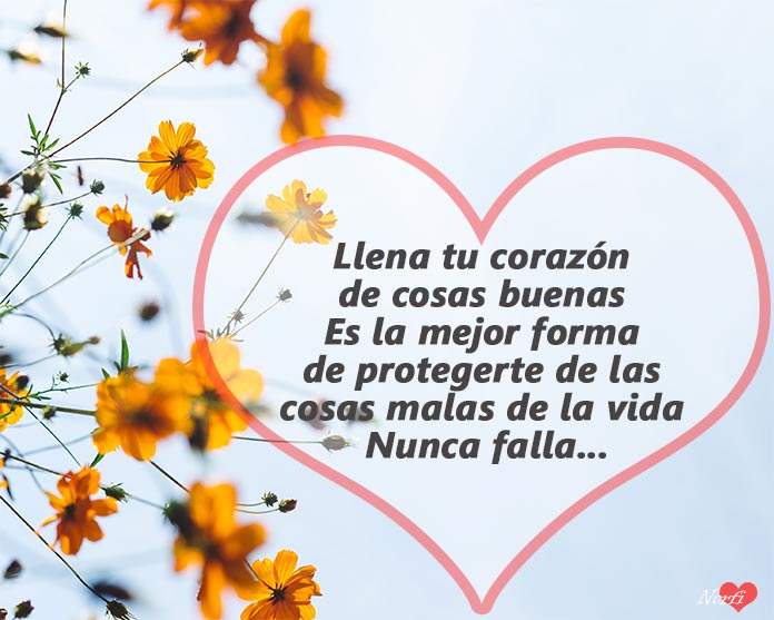 frases del corazón para reflexionar