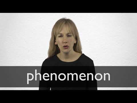 thesaurus phenomenon