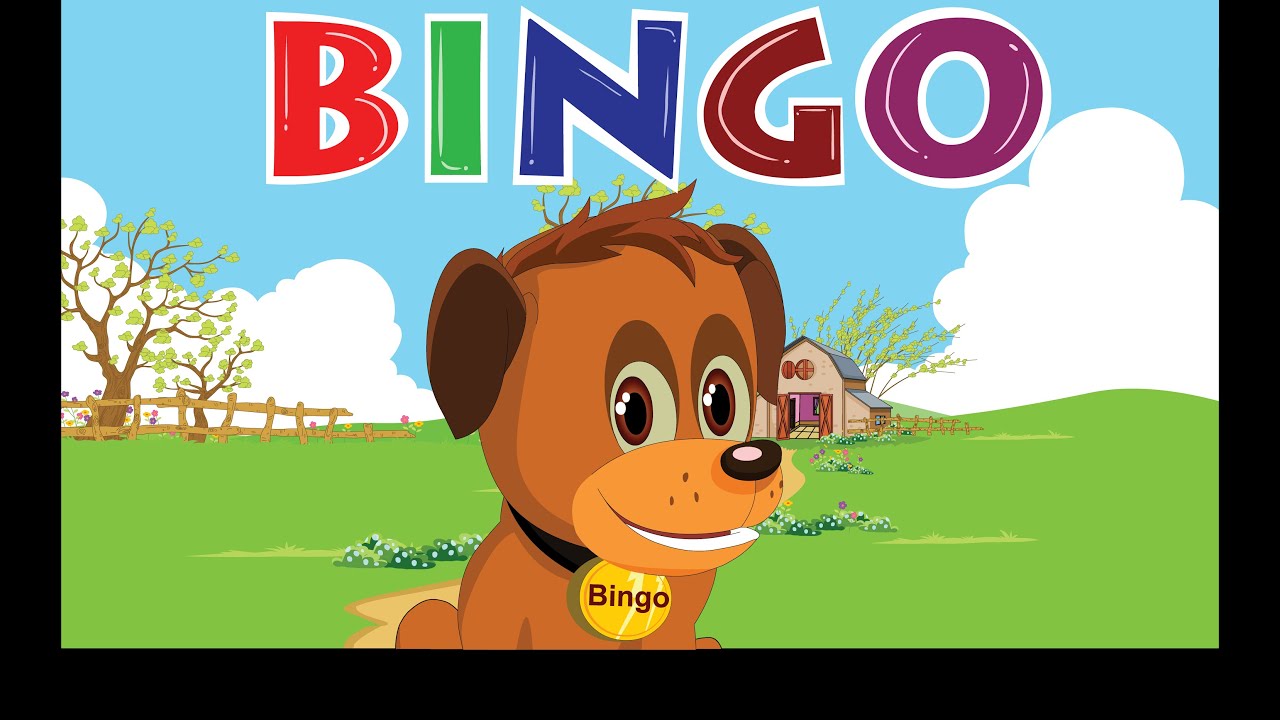 bingo baby song