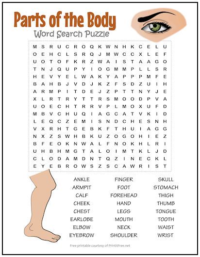 body parts word search