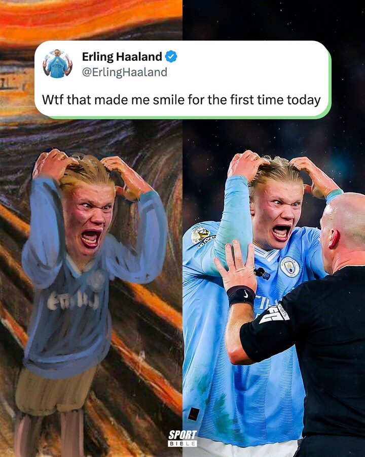 erling haaland memes