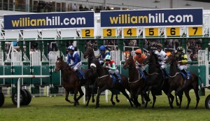 william hill live racing