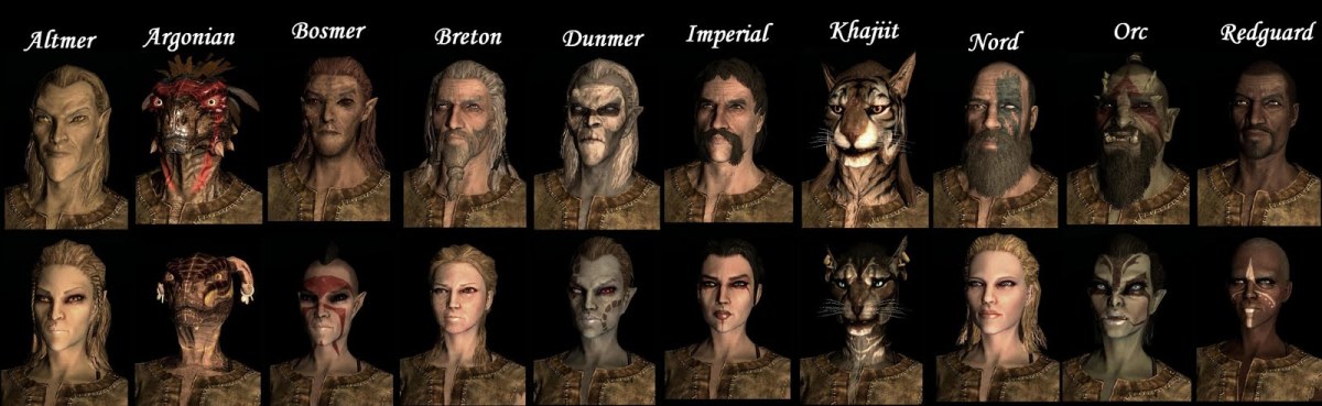 skyrim races and perks