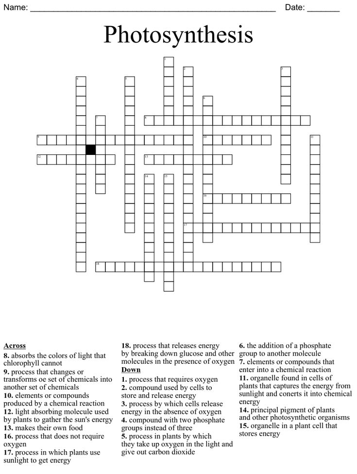 photosynthesis crossword puzzle answers