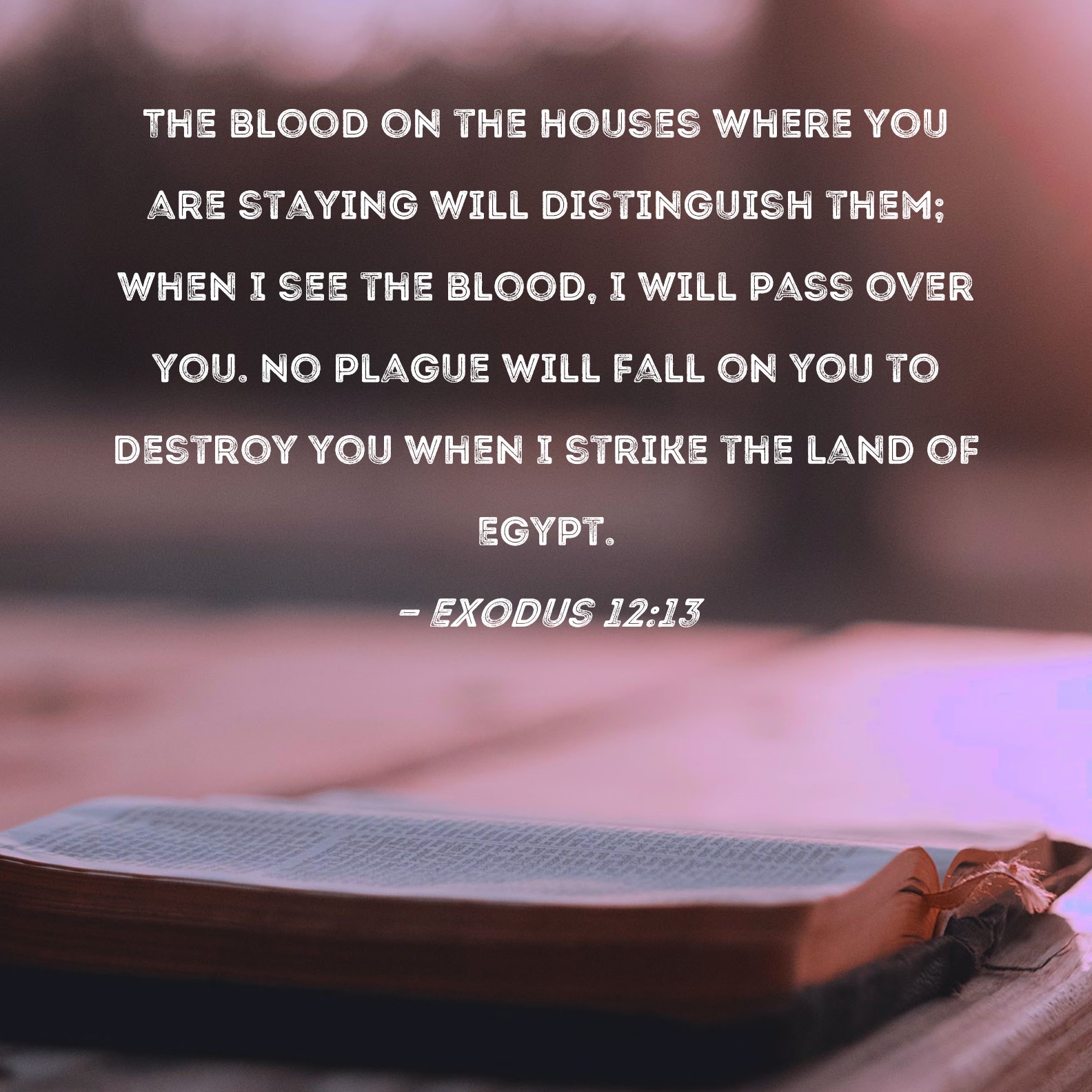 exodus 12 esv