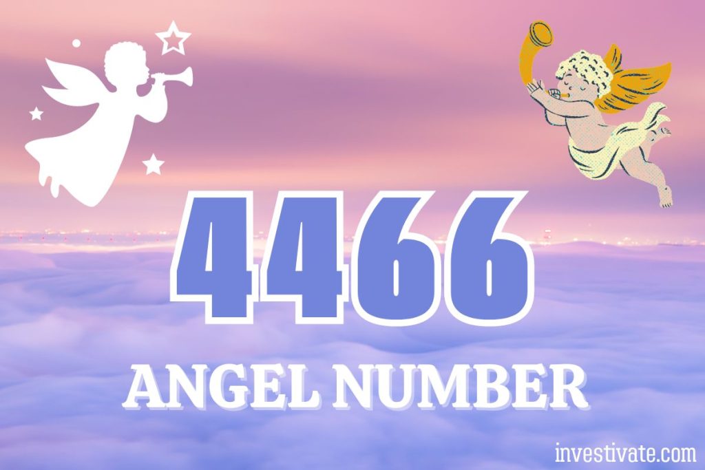 4466 angel number