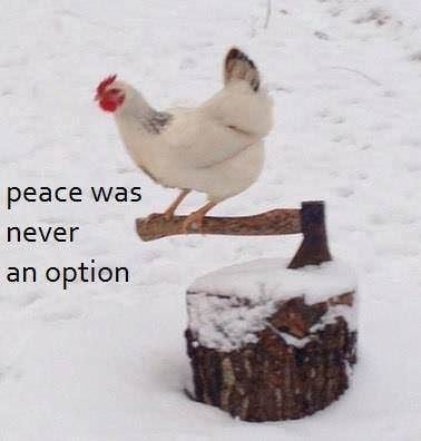 peace was never an option chicken
