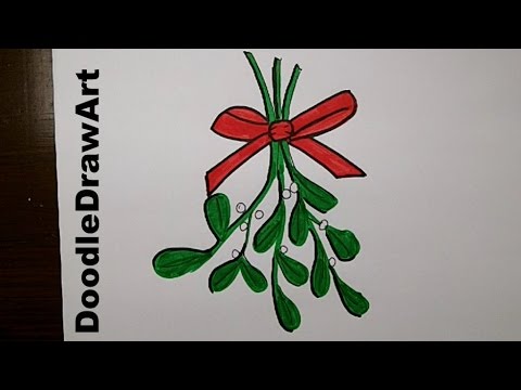 how to draw mistletoe step by step