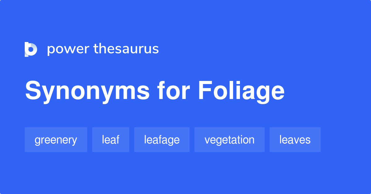 foliage synonym