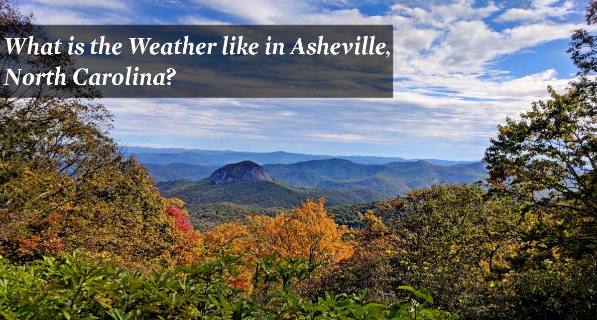 weather asheville november