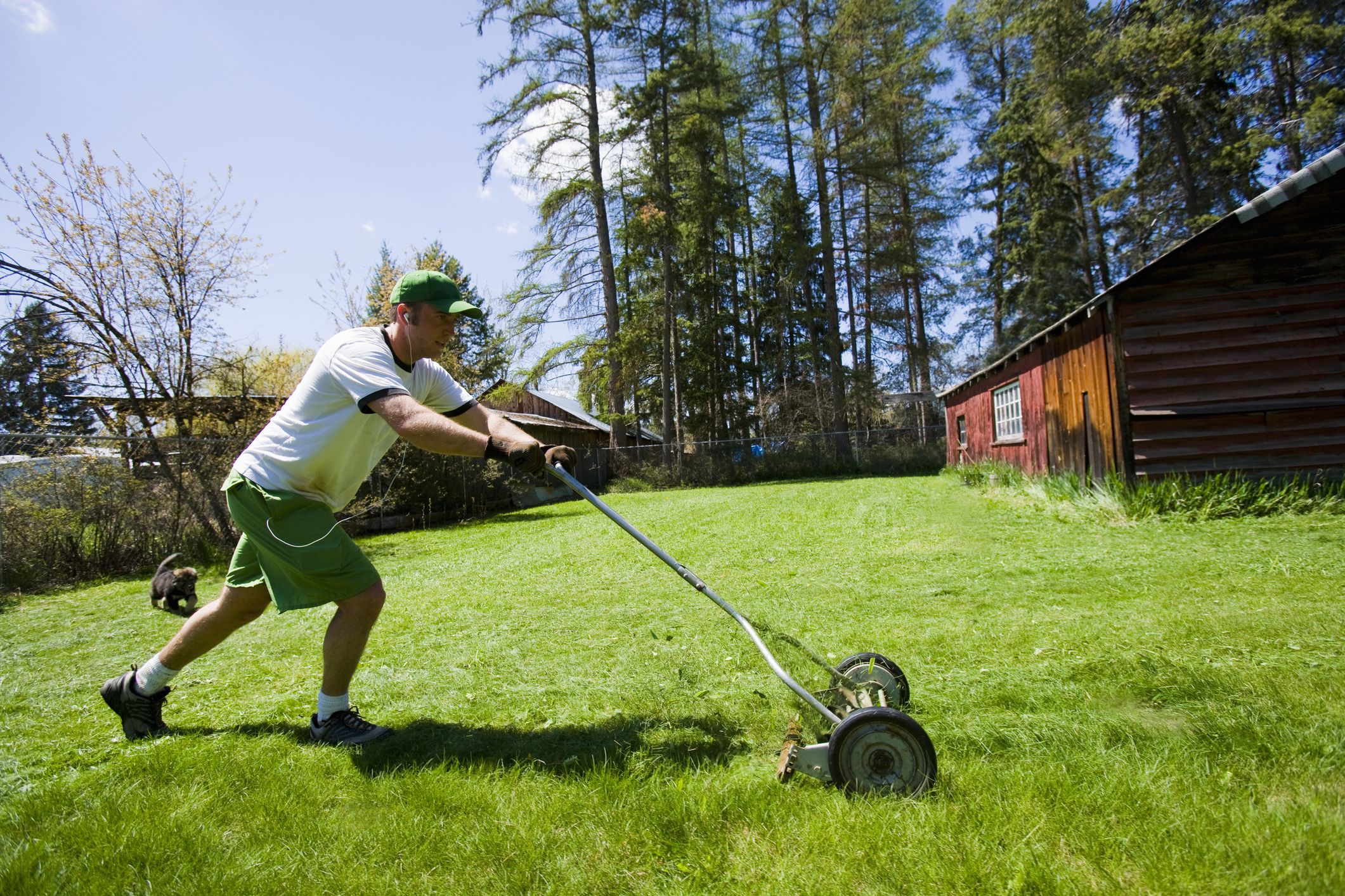 reel mower manual