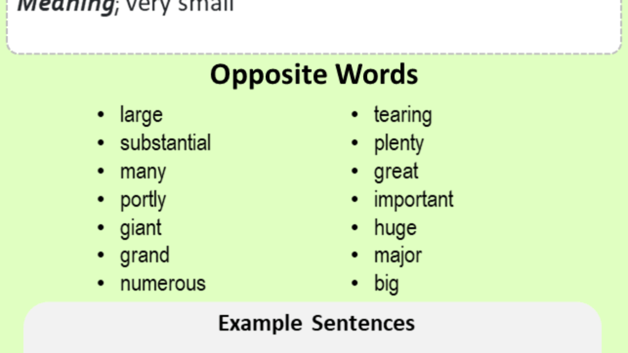 tiny antonyms in english