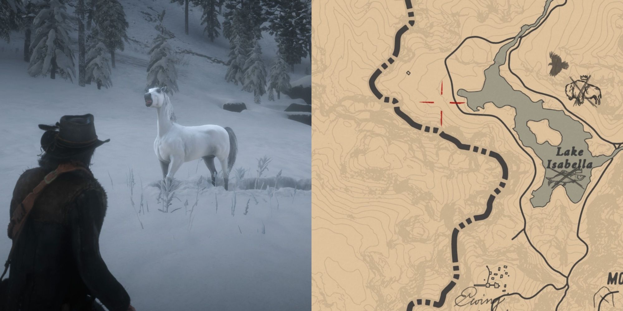 arabian white horse rdr2