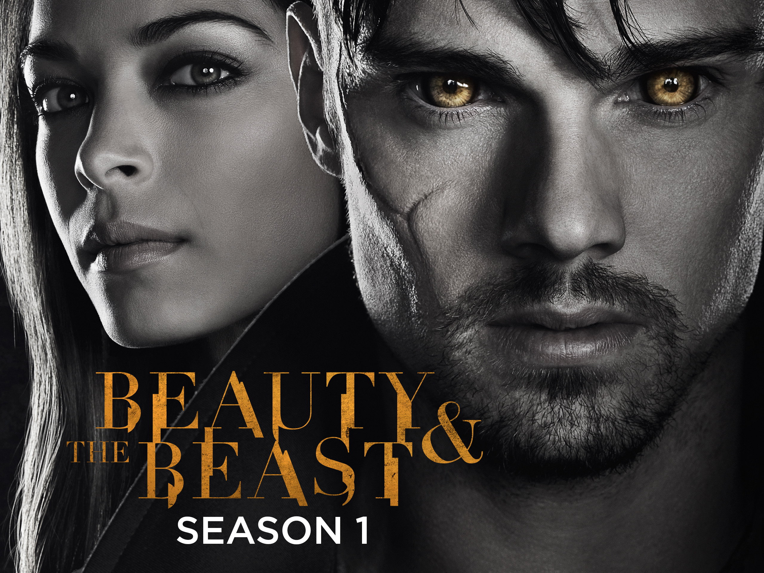 beauty and the beast tv series 2013