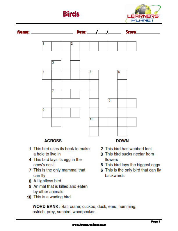 bird crossword puzzle clue