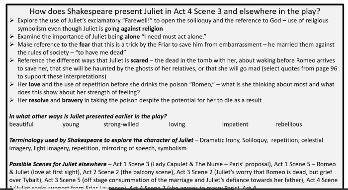 romeo and juliet act 4 scene 3 soliloquy analysis