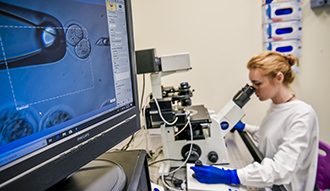 macquarie university dementia research centre