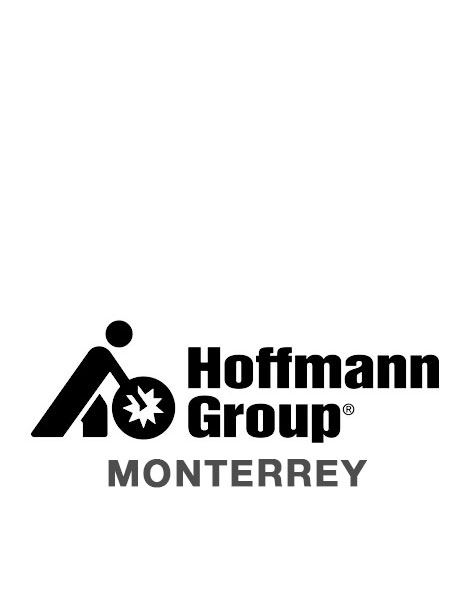 hoffmann group