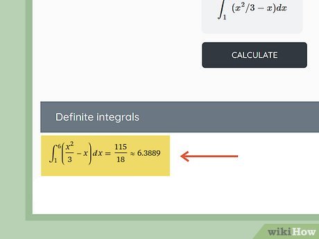 integral calculator with solution