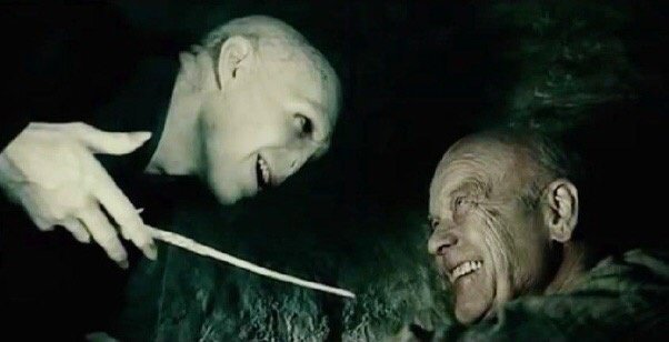 did voldemort kill grindelwald