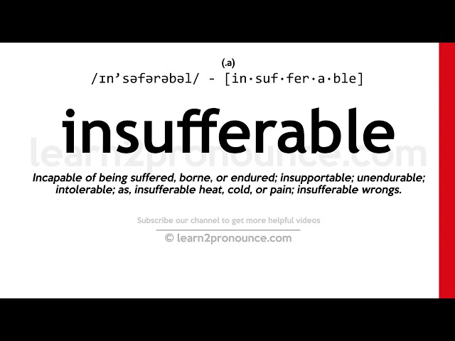 insufferable definition
