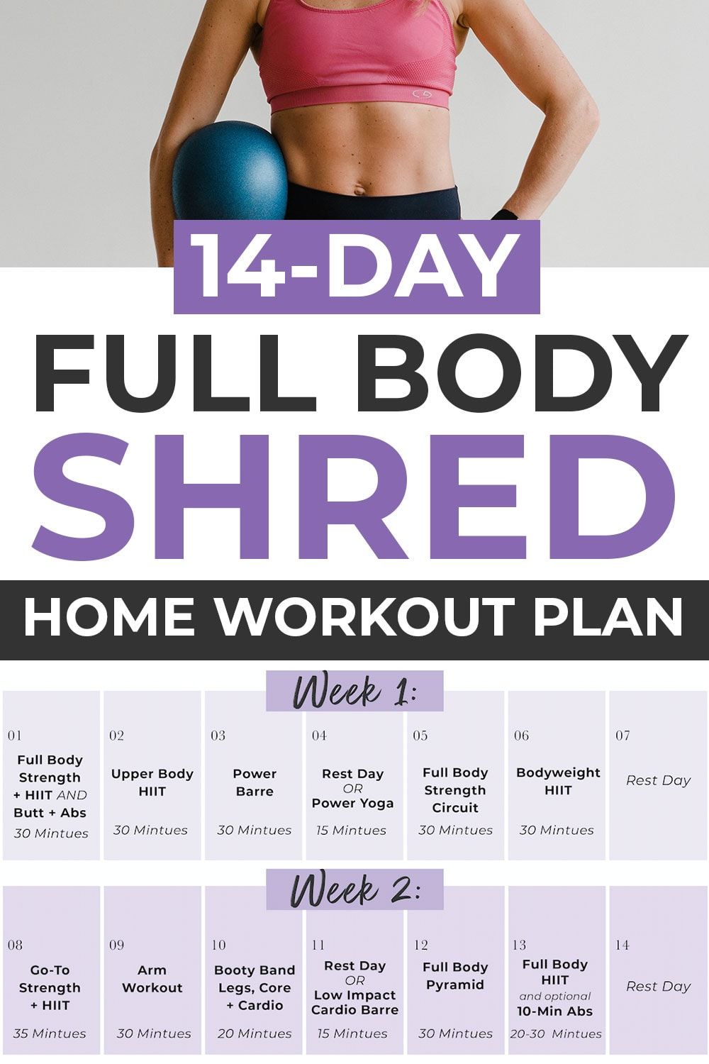 full body workout for shredding