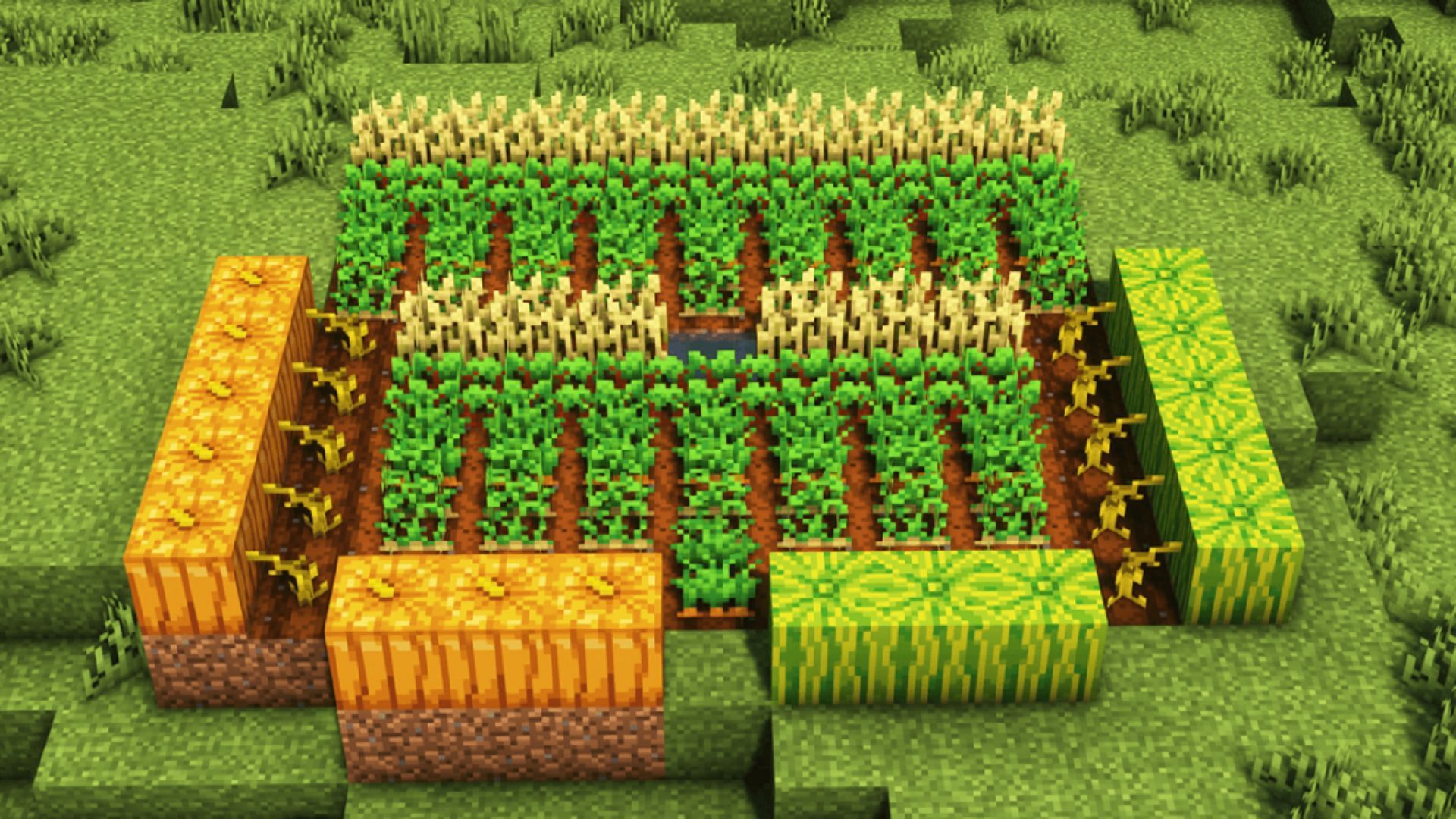 crops minecraft