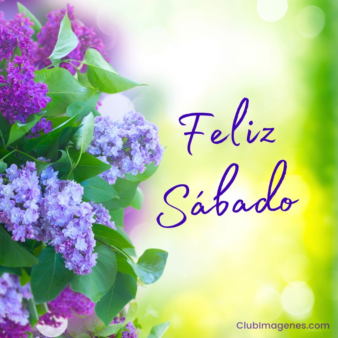 feliz sabado imagen