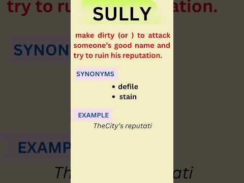 sully synonym