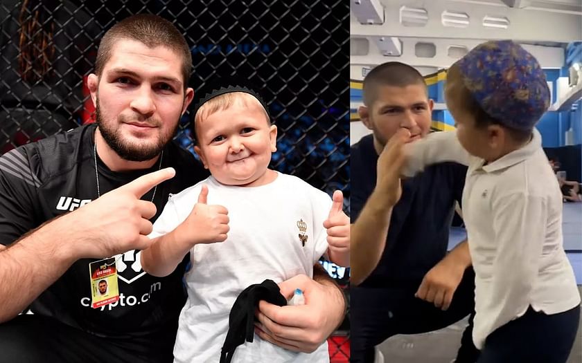 hasbulla khabib