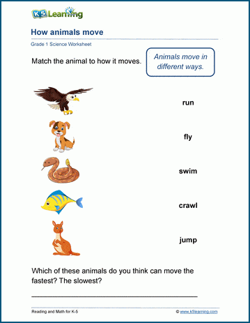 how do animals move worksheet for kindergarten