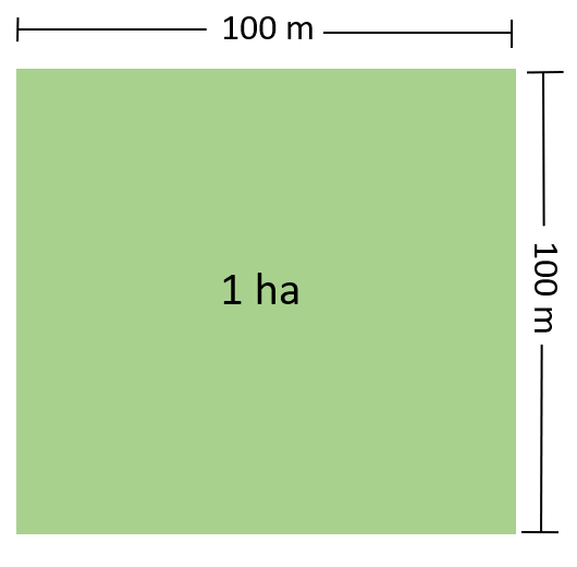 1 hectare in meters